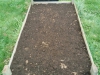 raised bed with radishes and spinach