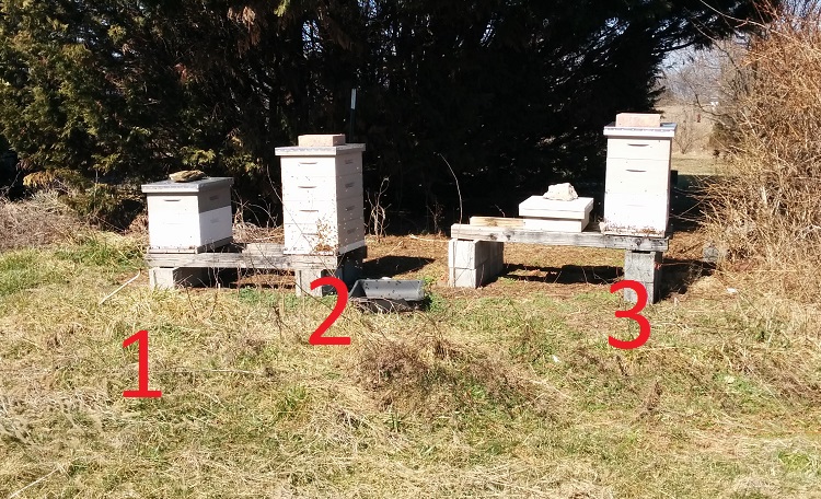 Three-hives-numbered