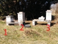 Three-hives-numbered